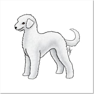 Dog - Bedlington Terrier - Unclipped White Posters and Art